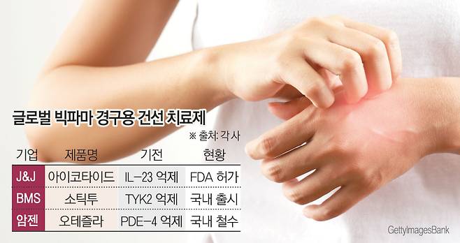 (그래픽=김소영 기자 sue@)