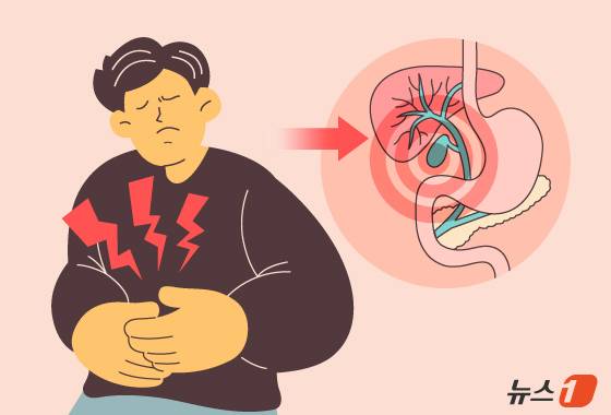 담낭에 생기는 암을 '담낭암'이라고 하는데 발생 빈도는 낮으나 5년 생존율이 5~10%에 불과해 주의가 요구된다. ⓒ 뉴스1 김지영 디자이너