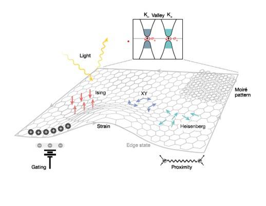 2차원 반데르발스 자성체에서 나타나는 다양한 물리 현상을 정리한 개념도. 벌집 모양 격자 위에서 자성의 방향이 달라지는 현상부터 빛, 전기장, 변형력 등 외부 자극으로 자성을 제어하는 방법, 물질 가장자리에 나타나는 특수한 전자 상태까지 하나의 2차원 평면에서 일어나는 현상들을 한눈에 보여준다. 박제근 교수 제공