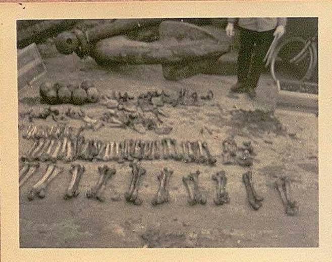 일본 프리랜서 언론인 후세 유진 기자가 일본 후생노동성을 상대로 한 정보공개청구로 확보한 ‘우키시마호 사망자 유해 처리에 관한 보고’ 문서에서 1950년 우키시마호 인양 과정에 수습된 희생자 유골 모습을 볼수 있다. 후세 유진 제공