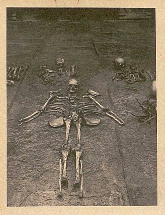 1950년 우키시마호 인양 당시 수습된 유골 가운데 인체 형태를 고스란히 유지한 모습이 눈에 띈다. 후세 유진 제공
