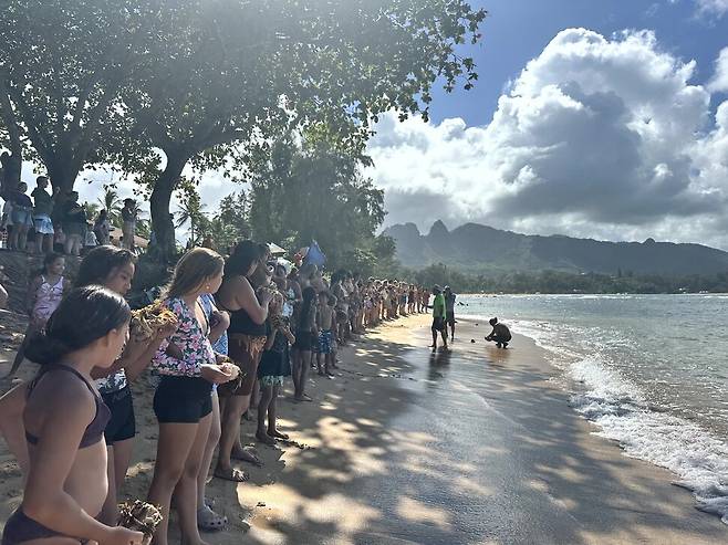 2025년 8월 하와이 카우아이 섬에서 열린 리무 페스티벌 중 바다에 들어가 리무를 놓고 오는 ‘리무 이식’ 이벤트가 열렸다. 바다에 들어갈 준비 중인 사람들. 이솔 제공