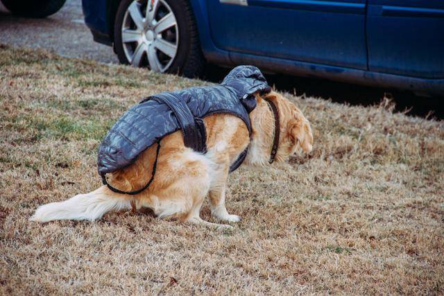 게티이미지뱅크