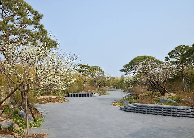 가브리엘 오로즈코가 조성한 리움 야외 정원. <리움>