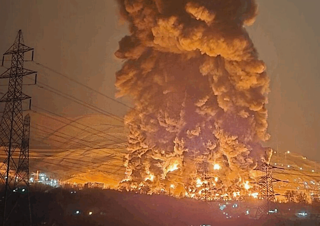 [그린피스 홈페이지 갈무리]