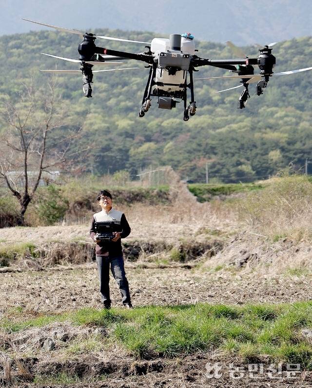 “한순간도 방심할 수 없죠.” 경남 양산의 한 밭에서 드론 방제 중인 김 대표. 사진=김도웅 프리랜서 기자