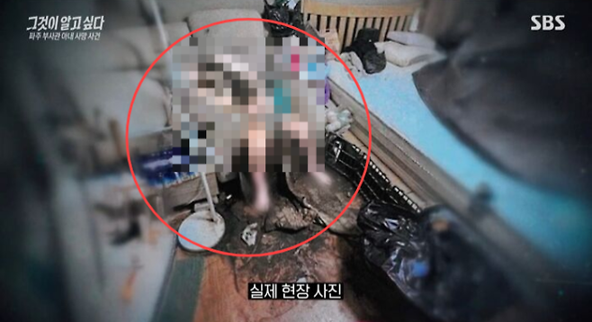 온몸에 구더기가 들끓을 때까지 방치됐다가 숨진 육군 부사관의 아내 구조 당시 모습. 2025.12.13 SBS ‘그것이 알고 싶다’ 화면