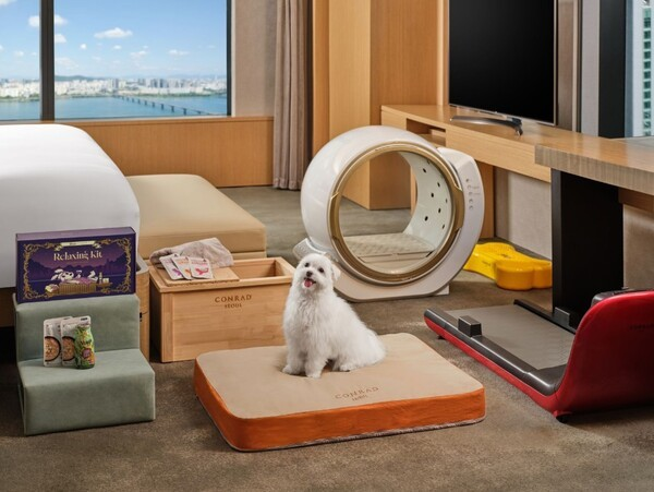 콘래드 서울 펫 매종 객실 전경. 사진 제공=콘래드 서울