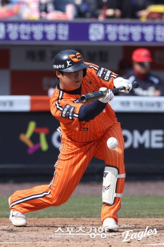 한화이글스 제공
