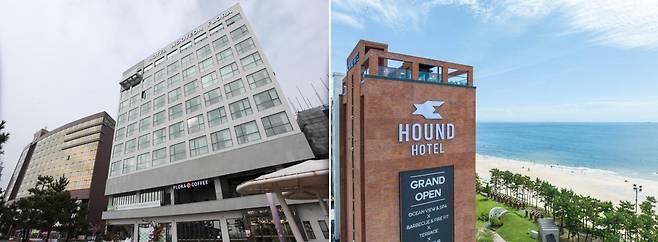 보령 대천 우연플로라호텔(왼쪽)과 하운드호텔 대천해수욕장점(오른쪽)