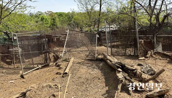 광명시 한 사슴농장에서 사슴 5마리가 탈출해 관계 당국이 수색에 나섰다. 사진은 사슴들이 탈출한 우리의 철조망 울타리가 훼손된 모습. 2026.4.23 /마주영기자 mango@kyeongin.com