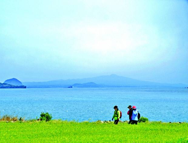 사방으로 펼쳐진 푸른 바다와 함께 바람에 넘실거리는 청보리가 수채화 처럼 아름답다.                         <서귀포시 제공>