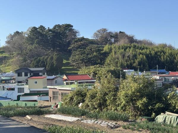 늑도마을 풍경. 마을 위 언덕 주변이 유적 발굴지다. /이서후 기자