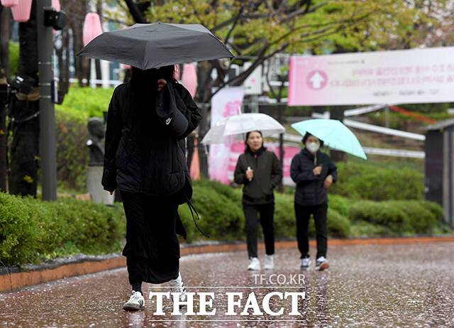 지난 10일 오전 서울 송파구 석촌호수에서 떨어진 벚꽃 위로 시민들이 우산을 쓰고 지나가고 있다. /박상민 기자