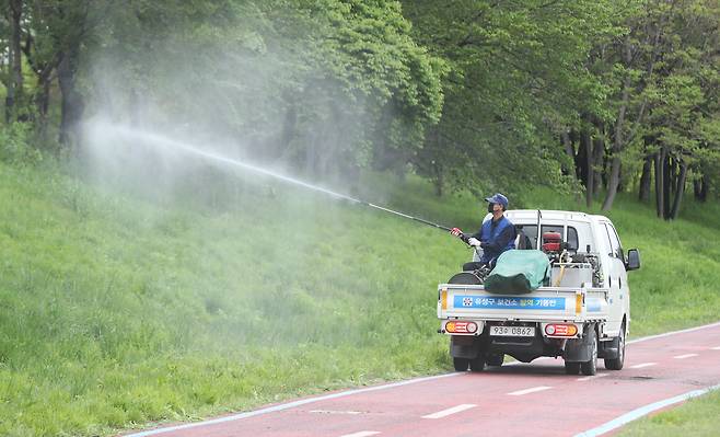 보건소 방역 기동반 직원들이 방역을 하고 있는 모습. /뉴스1