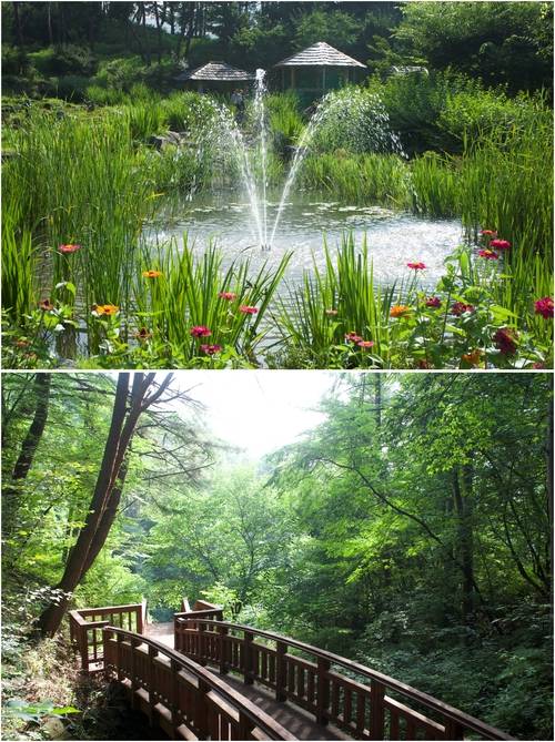 뜬봉샘 트레킹 전경