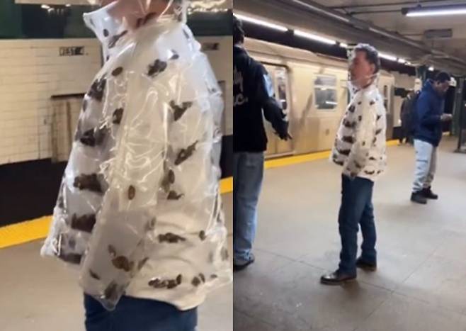 한 남성이 뉴욕 지하철에서 살아있는 바퀴벌레를 넣은 투명 패딩 재킷을 입고 있는 영상이 확산되며 누리꾼들의 이목을 끌었다. 사진=X