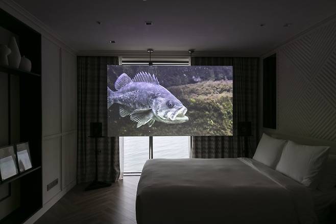 그랜드조선 부산 호텔에서 열린 '루프 플러스' 아트페어에 마련된 마이어리거울프 부스에 클레멘스 폰 베데마이어의 작품이 상영되고 있다. 루프 플러스 제공