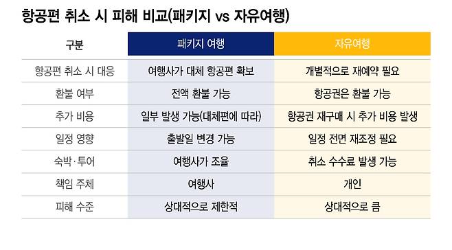 /그래픽=이지혜 디자인 기자