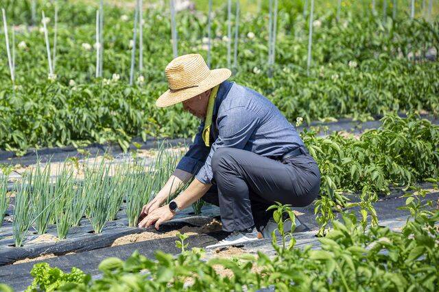 올해 첫 중증열성혈소판감소증후군 환자가 발생했다. 사진은 기사의 특정 사실과 관련 없음. 클립아트코리아