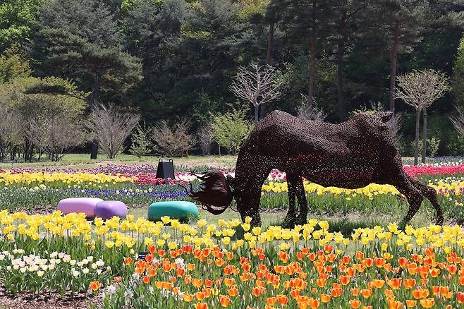 지난해 국립세종수목원에서 진행한 야간개장 모습./ 한국수목원정원관리원 제공