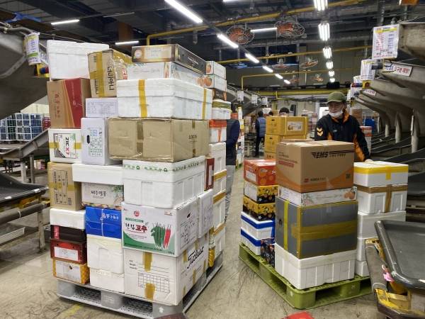 사진은 기사와 관련 없음. 제주일보 자료사진