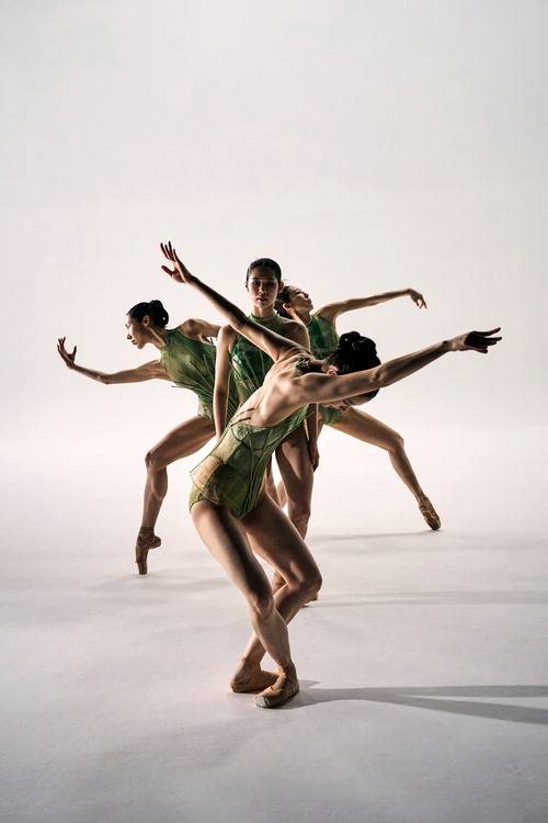 서울시발레단 '인 더 뱀부 포레스트'.