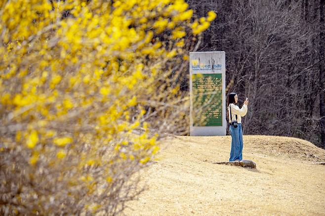 국립한국자생식물원 봄품경 [한국수목원정원관리원 제공. 재판매 및 DB 금지]