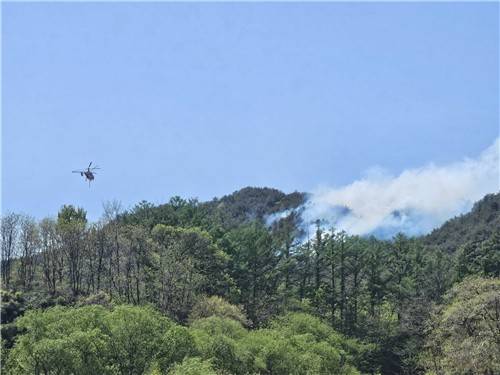 양양 산불 [강원특별자치도 제공. 재판매 및 DB 금지]
