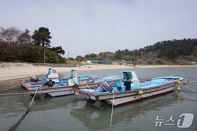 선착장에서 본 저도 풍경. 2026.4.24. 뉴스1 ⓒ News1 조영석 기자