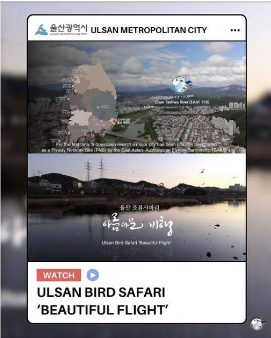 EAAFP 공식 소셜네트워크서비스(SNS)에 소개된 울산 조류사파리. 사진 페이스북 캡쳐