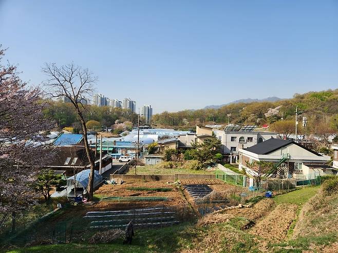 13일 찾아간 서울시 서초구 서리풀2지구 송동마을 모습. 송동마을에는 전주 이씨와 여산 송씨 집성촌으로, 총 37가구가 거주하고 있다. [조병연 기자]