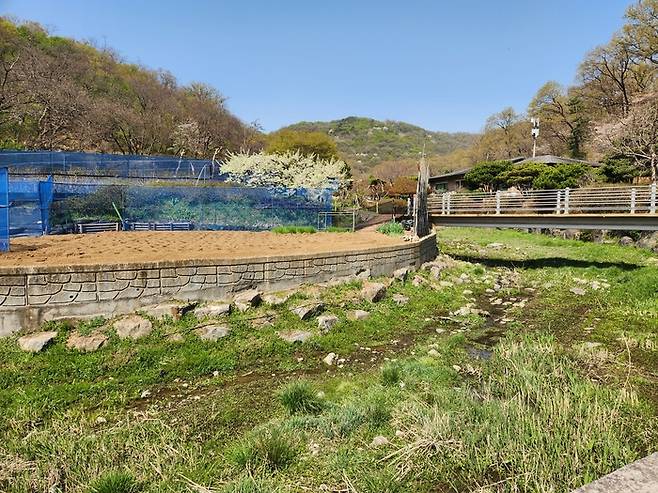 송동마을에 흐르는 우면천 모습. 국토부는 송동마을에서 맹꽁이, 소쩍새, 참매 등 법정보호종 7종이 확인됐다고 밝혔다. [조병연 기자]