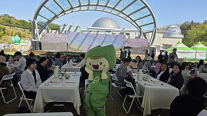 ‘녹차몬’과 함께하는 보성다향대축제(지난해) 오후의 차밭.<보성군 제공>