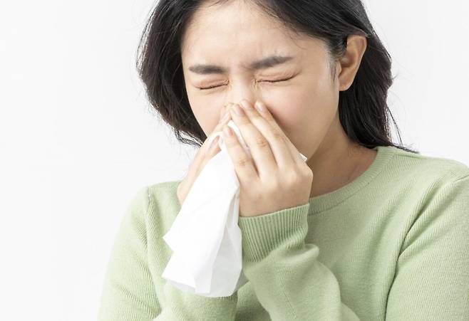 꽃이 만발하고 나뭇잎이 푸르러지는 좋은 계절이지만, 알레르기 비염으로 시달리는 사람에게는 괴로운 시기이다. 코세척은 증상을 완화하는 효과를 줄 수 있다. 사진=클립아트코리아