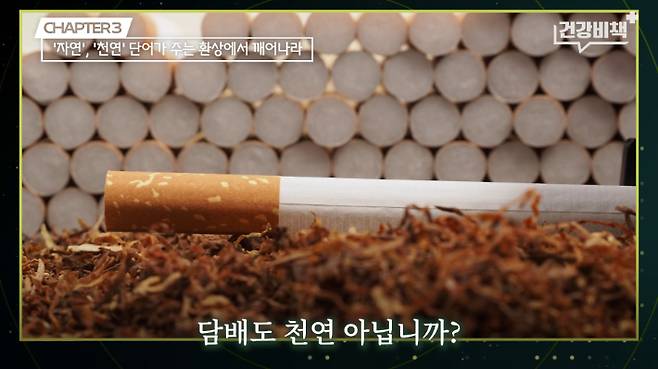 '건강비책' 정재훈 약사 편 캡처