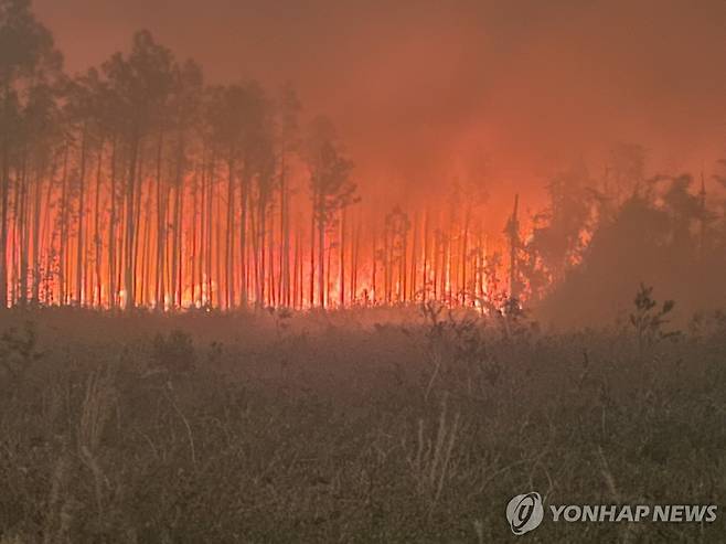 미국 조지아주 남부 대규모 산불 25일(현지시간) 미국 조지아주 클린치 카운티에 산불이 번지고 있다. [EPA 연합뉴스]
