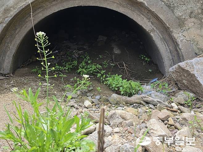27일 국도47호선 도로 옆을 흐르고 있는 내촌면 299-1번지 일대 우수관이 막혀 있는 모습. 김두현 기자
