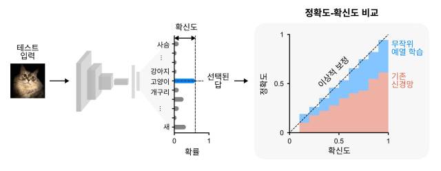 인공신경망 모델에서 응답에 대한 정확도와 확신도를 비교하는 신뢰성 테스트. 사진=KAIST 재공