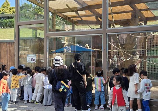 순천만국가정원 어린이동물원을 방문한 아이들이 다람쥐원숭이를 구경하고 있다.<순천시 제공>