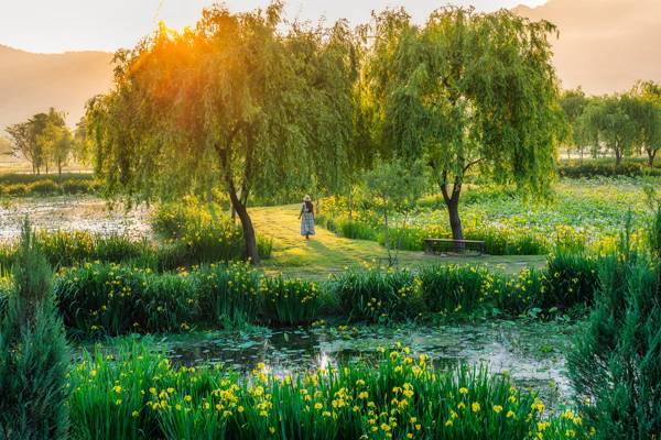거창 창포원 전경. / 거창군
