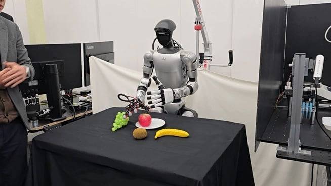 지난해 11월 케이팩스(KAPEX)가 과일 모형을 집는 등 시연을 하는 모습. /뉴스1