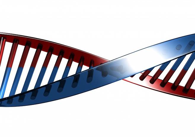 DNA 이중나선 모식도. 유전자 치료는 질병의 원인이 되는 DNA 서열을 직접 고치거나 정상 유전자를 보충해 근본 원인을 제거하는 기술이다. 게티이미지뱅크 제공