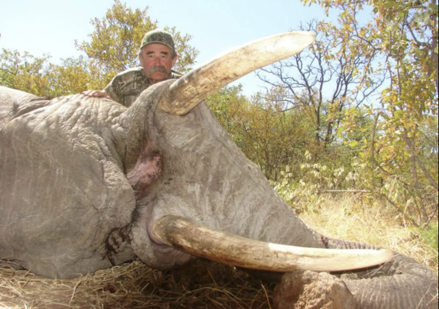 미국의 백만장자 어니 도시오가 10여 년 전 코끼리를 사냥한 뒤 촬영한 기념사진. '보비 한센 사파리' 홈페이지 캡처