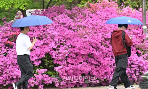 ▲ 비 내리는 강원대학교 춘천캠퍼스. 김정호 기자 [강원도민일보 자료사진]