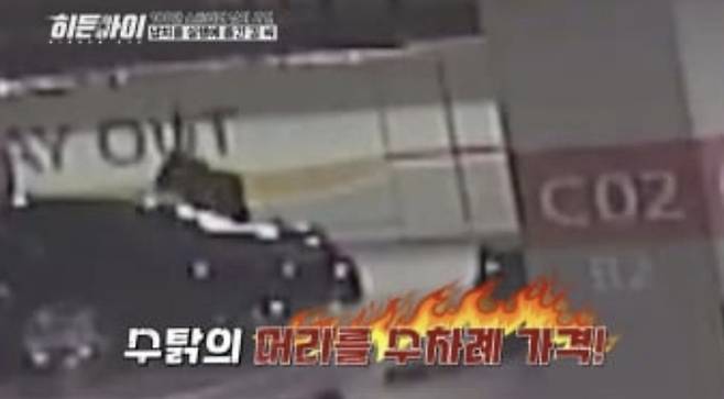 사진 I MBC 에브리원