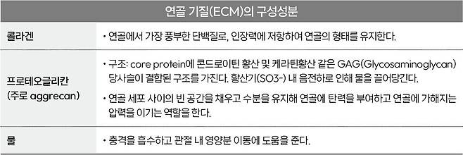 약사공론DB.