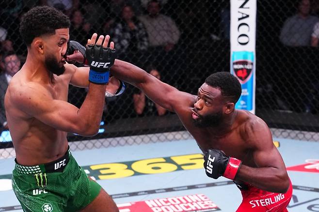 유세프 잘랄(왼쪽)에게 펀치를 꽂아넣는 스털링.(UFC 제공)