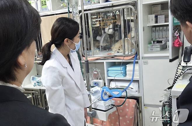 신지효 해마루이차진료동물병원 내과 팀장이 마약류 관리 현황에 대해 설명하고 있다. ⓒ 뉴스1 한송아 기자