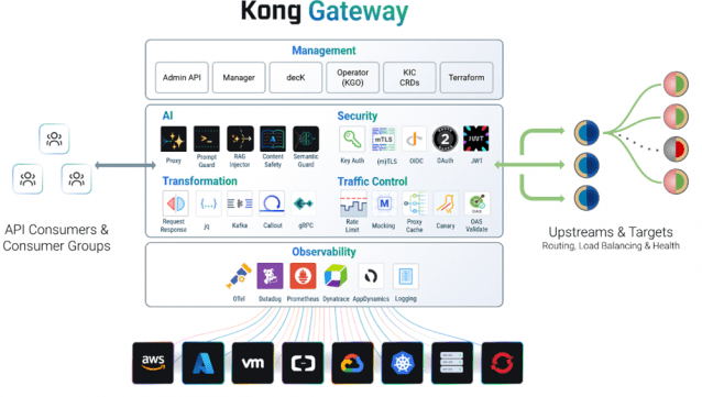 (이미지 제공=Kong Inc)
